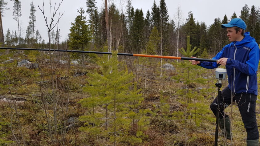tero_seppala_koealan_puita_mittaamassa