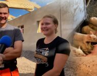 Ittensä työllistäjät