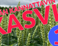 kannattavin_kasvi_1_720
