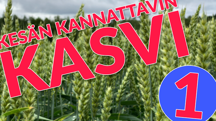 kannattavin_kasvi_1_720
