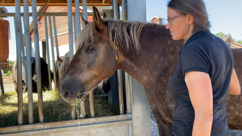 Riitta lahtela-mällinen