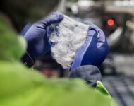 Staple fibre – 1__web