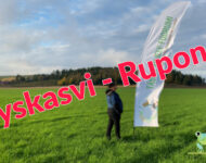 Syyskasvi_ruponen_2020