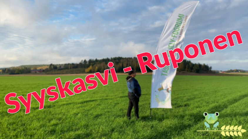Syyskasvi_ruponen_2020
