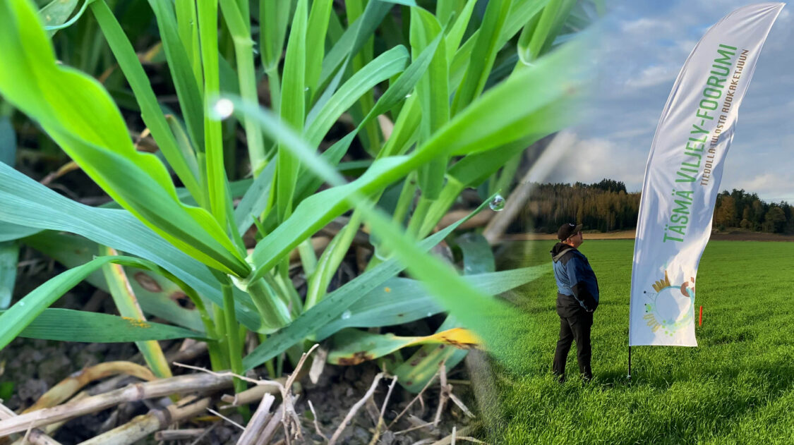 t__ysviljely_shoppari