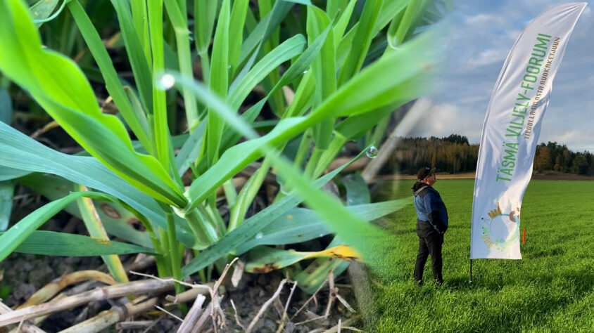 t__ysviljely_shoppari