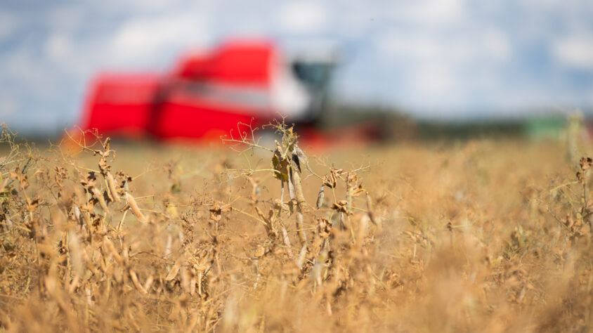 E162B2A5-9AA8-4D1E-8AAB-58EC0BE2511B