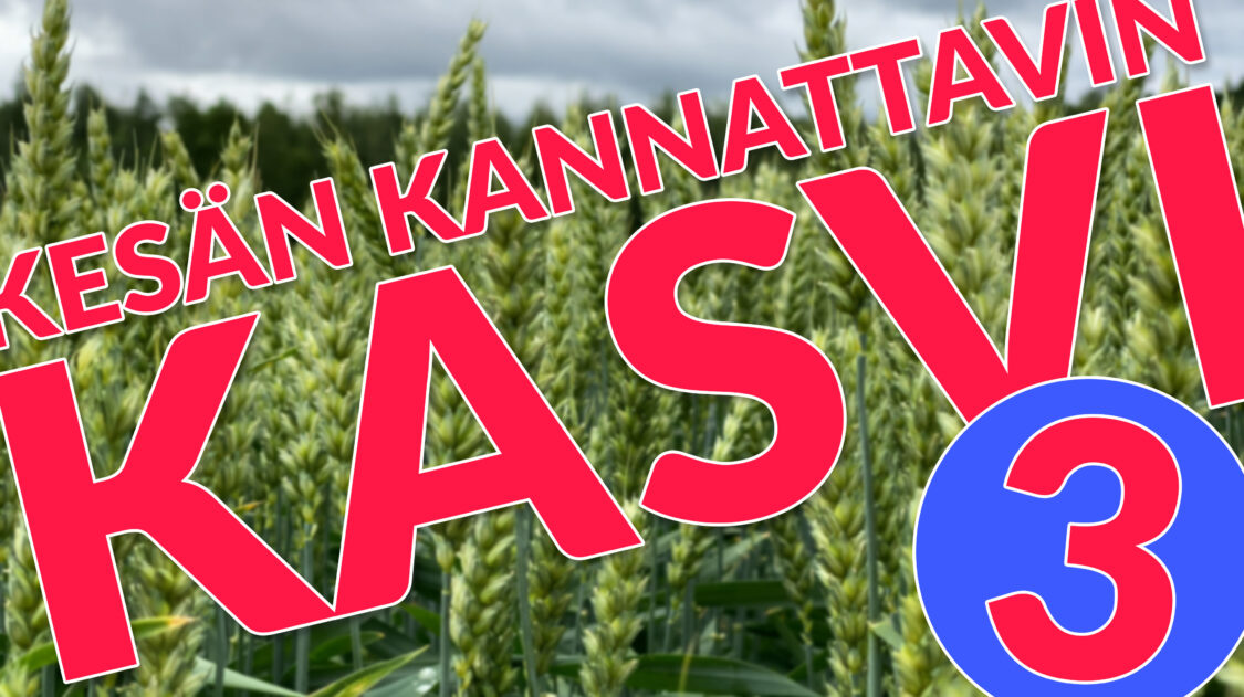 kannattavin_kasvi_3