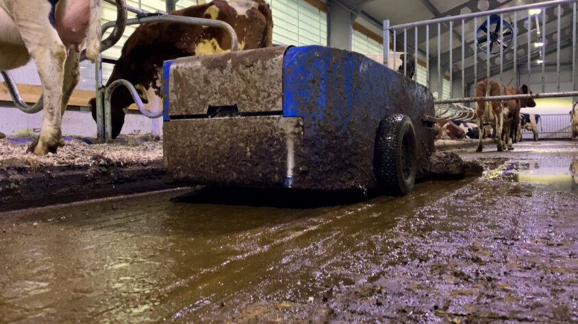 20201221_AMOY_Lantrarobotti.00_01_10_39.Still001