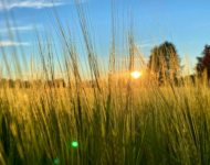 58E41A96-DAC6-4F2A-929C-B721517F2663