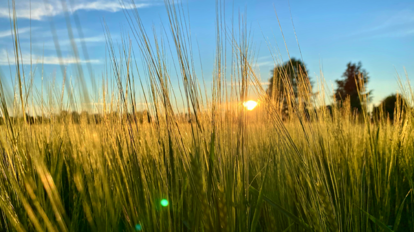 58E41A96-DAC6-4F2A-929C-B721517F2663