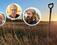 Suorakylvö, artikkeli