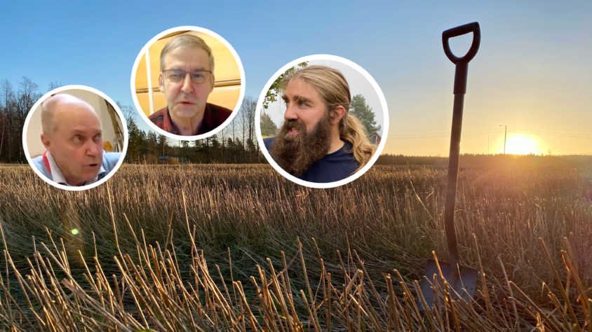 Suorakylvö, artikkeli