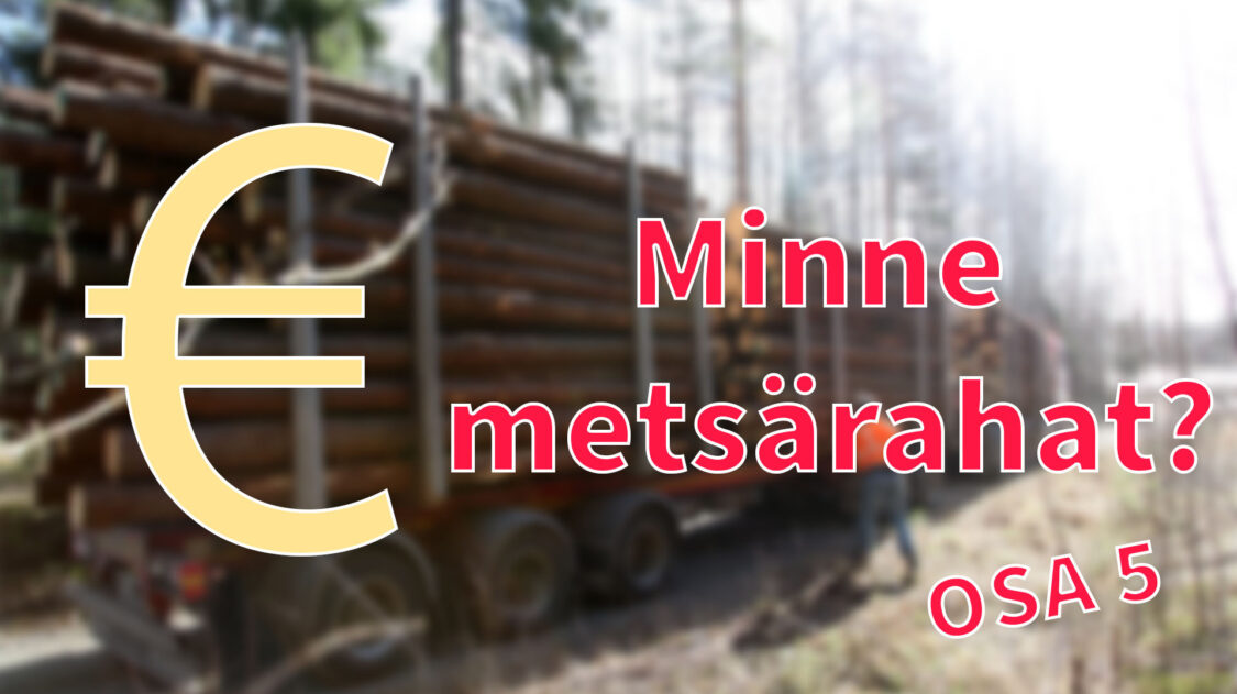 AMOY_minne_metsärahat_5