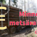 AMOY_minne_metsärahat_5