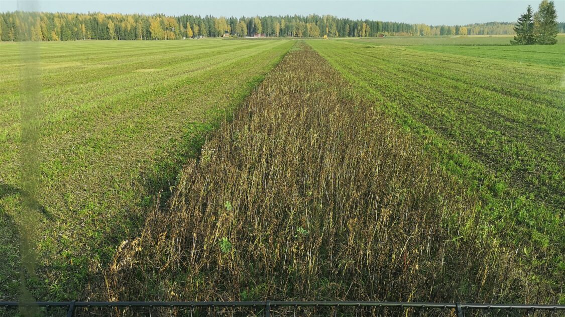 IMG_20201002_161335copy