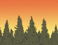 00B811A3-ACFB-4572-981C-F71988372F01