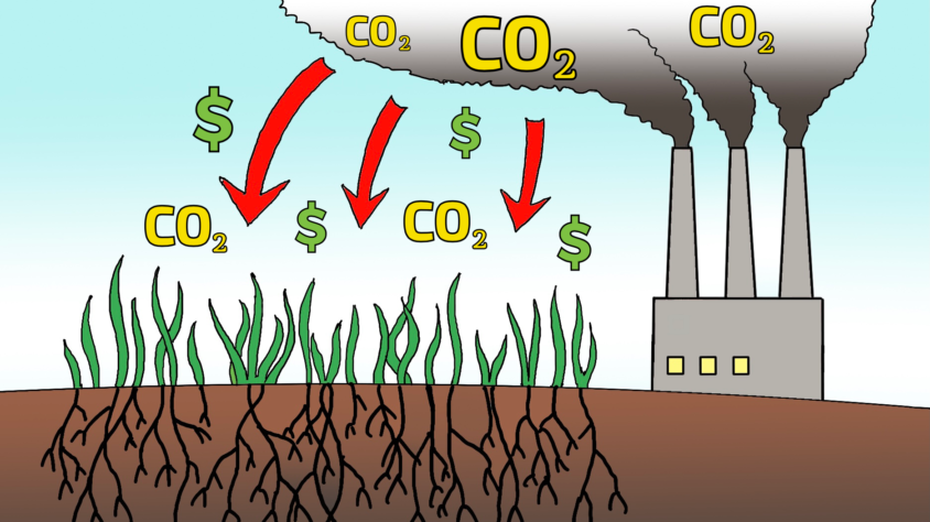 26C471C5-7CCF-4E29-ABE3-E95120BA6A85