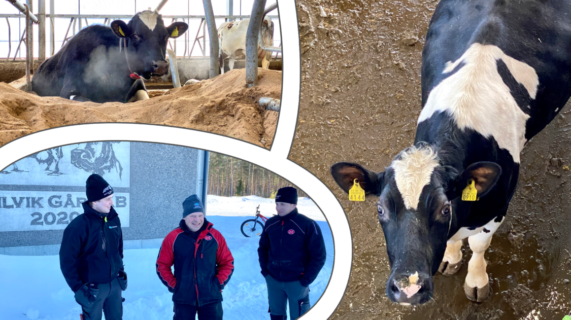 7315C69F-7E18-4470-A2CD-BAA358845D40