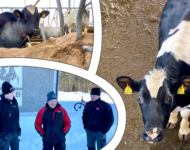 7315C69F-7E18-4470-A2CD-BAA358845D40