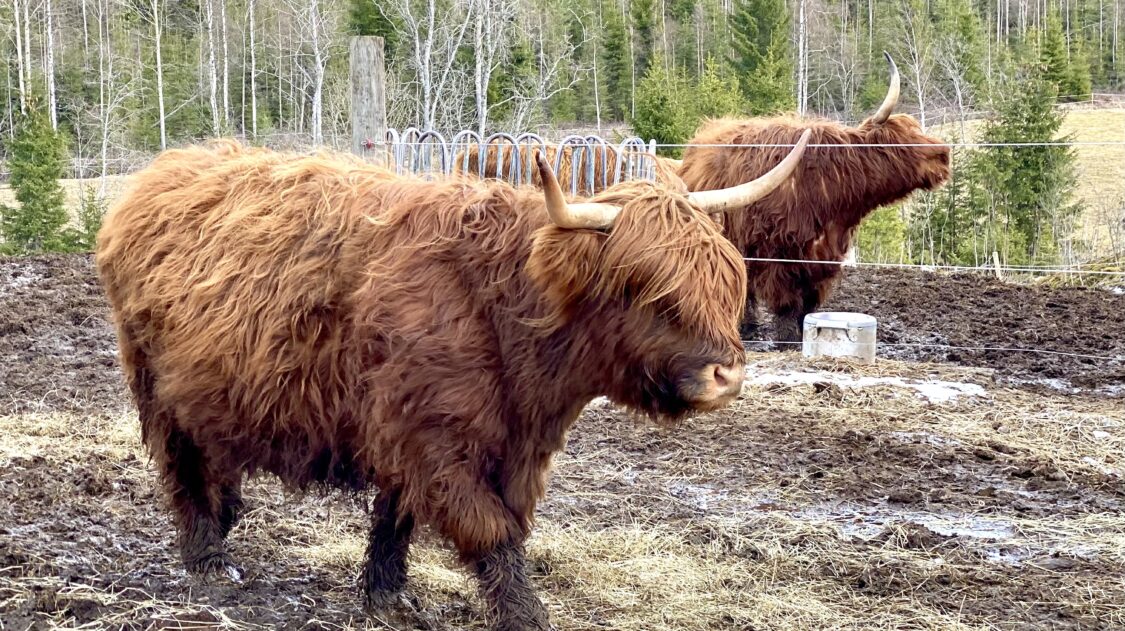 C21832B7-1A3D-4DE6-B195-0504ADA5460F