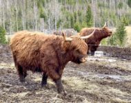 C21832B7-1A3D-4DE6-B195-0504ADA5460F