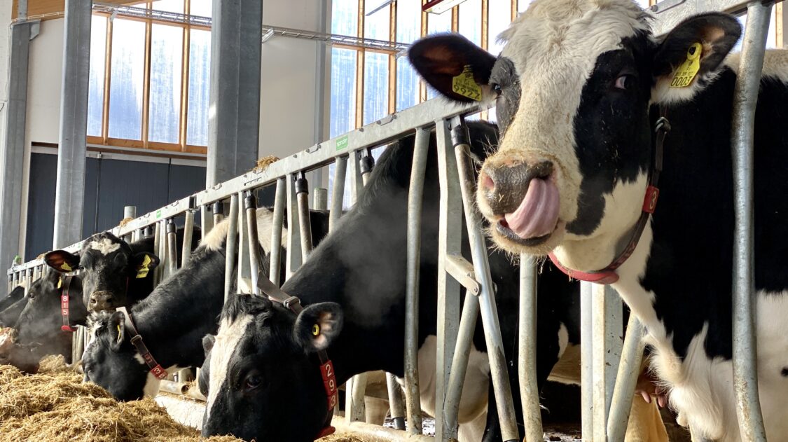 C33E4B87-162C-4560-8B94-E96CB4BF3D36