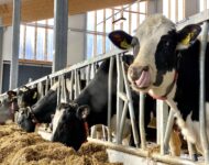 C33E4B87-162C-4560-8B94-E96CB4BF3D36