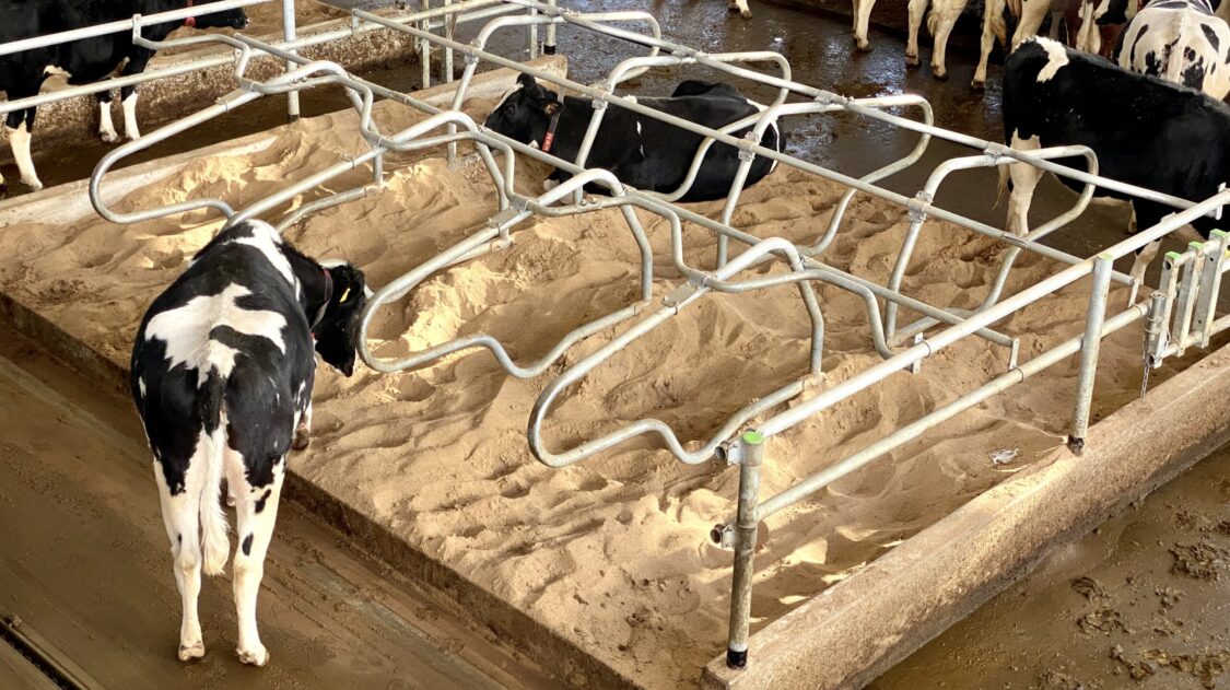 F878D9A2-38C4-4FF1-A016-1D42AD613687