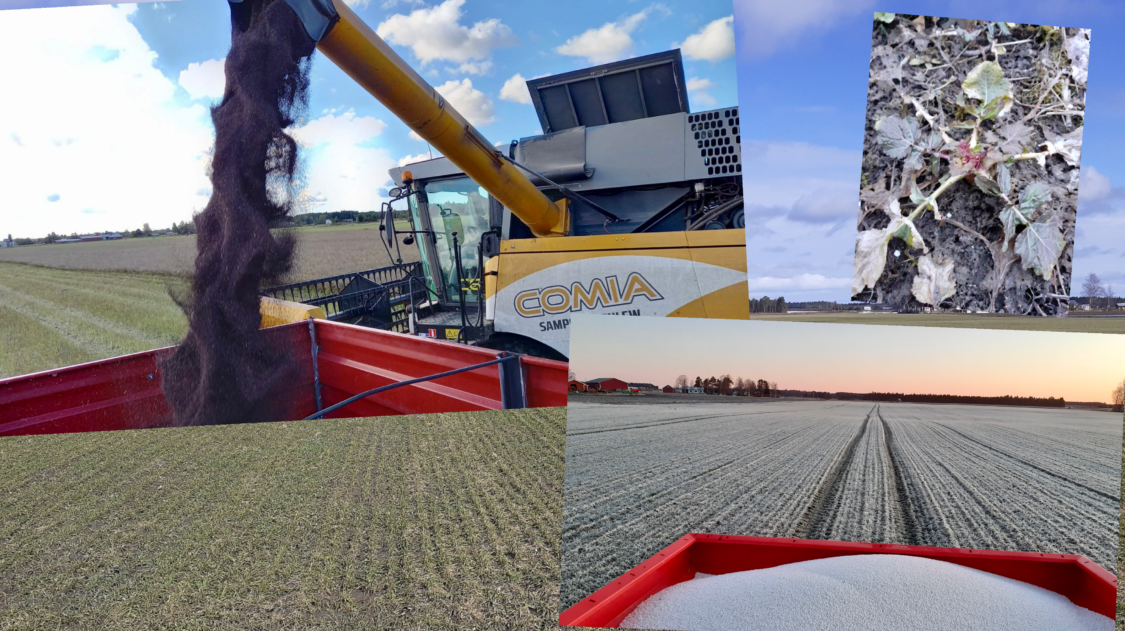 6BD94B89-BE55-49B2-A40F-68F5BDBF0B93