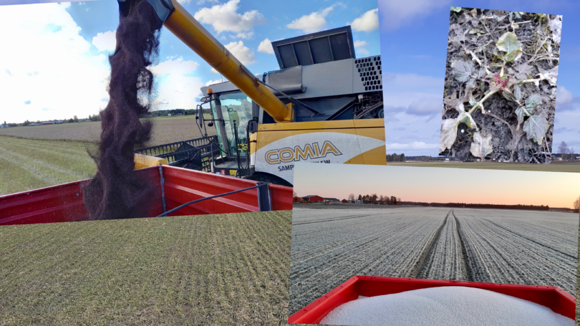 6BD94B89-BE55-49B2-A40F-68F5BDBF0B93