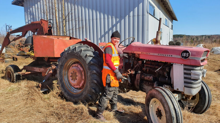 Tuomas lavantekiä, kuva 6