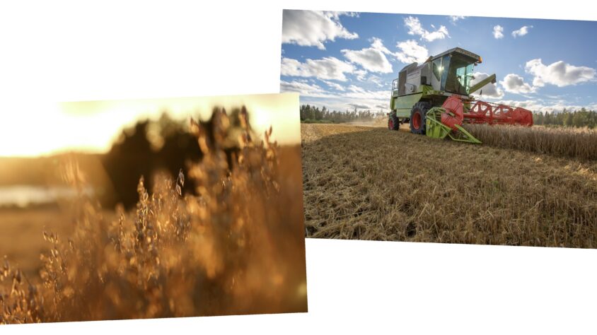 035530EF-E4C5-46C0-B284-FA845A378491