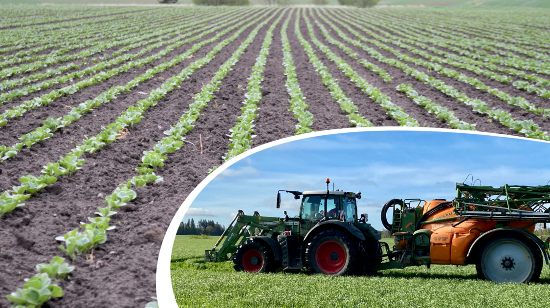 08E9FF0D-371A-4673-860D-4C44E7611C5F