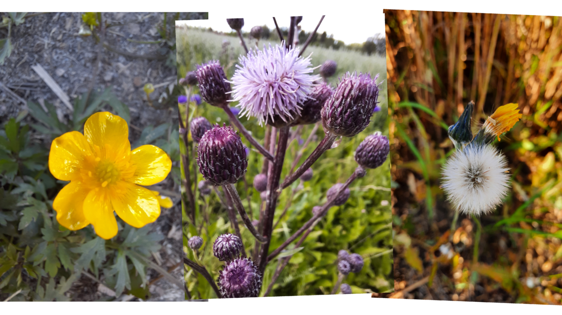 5D69F1AB-3A9C-4491-B19C-E1FCC8367CC5