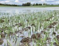 8A3D3E35-7C13-41FF-ABE5-63027478EF23