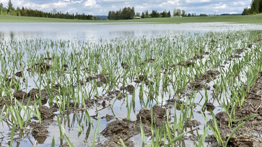 8A3D3E35-7C13-41FF-ABE5-63027478EF23