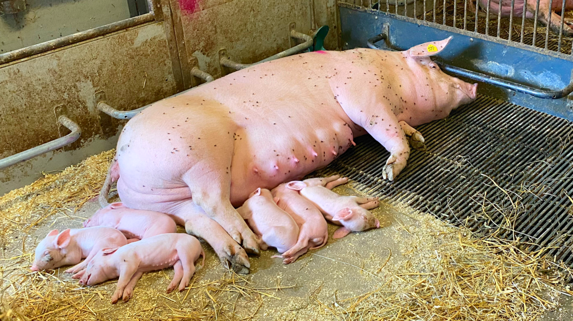 AFB2DF2F-FAAE-44F9-B698-536C6B38DE1F