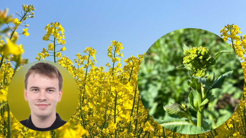 EA983C48-2636-40B1-A6F8-C1AB2D8ACE06