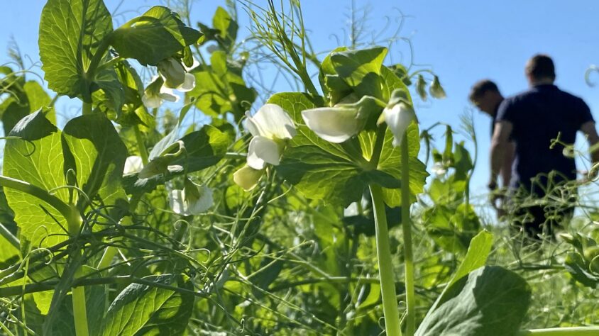 6E5A1124-AEBC-4088-8492-74DA09124635