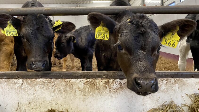 7C8DECA0-0C0B-4CB2-B767-B075536589E9