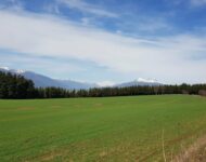 campo