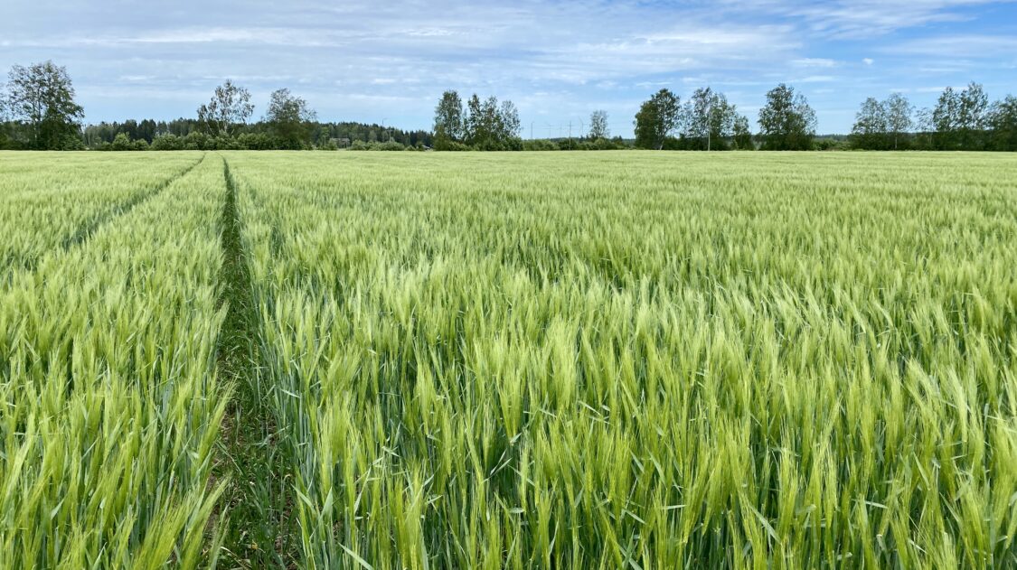 CE6B22AA-FC4E-49EE-BBDE-46936D68717A