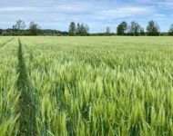 CE6B22AA-FC4E-49EE-BBDE-46936D68717A