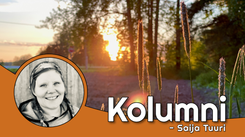 DA227F54-7A15-4817-ACFB-E900BD4D398C