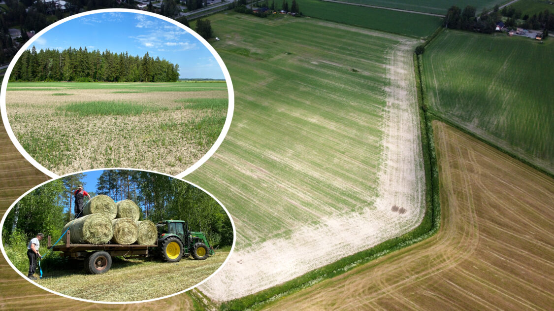 suorakylvetty vs. muokattu