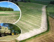 suorakylvetty vs. muokattu