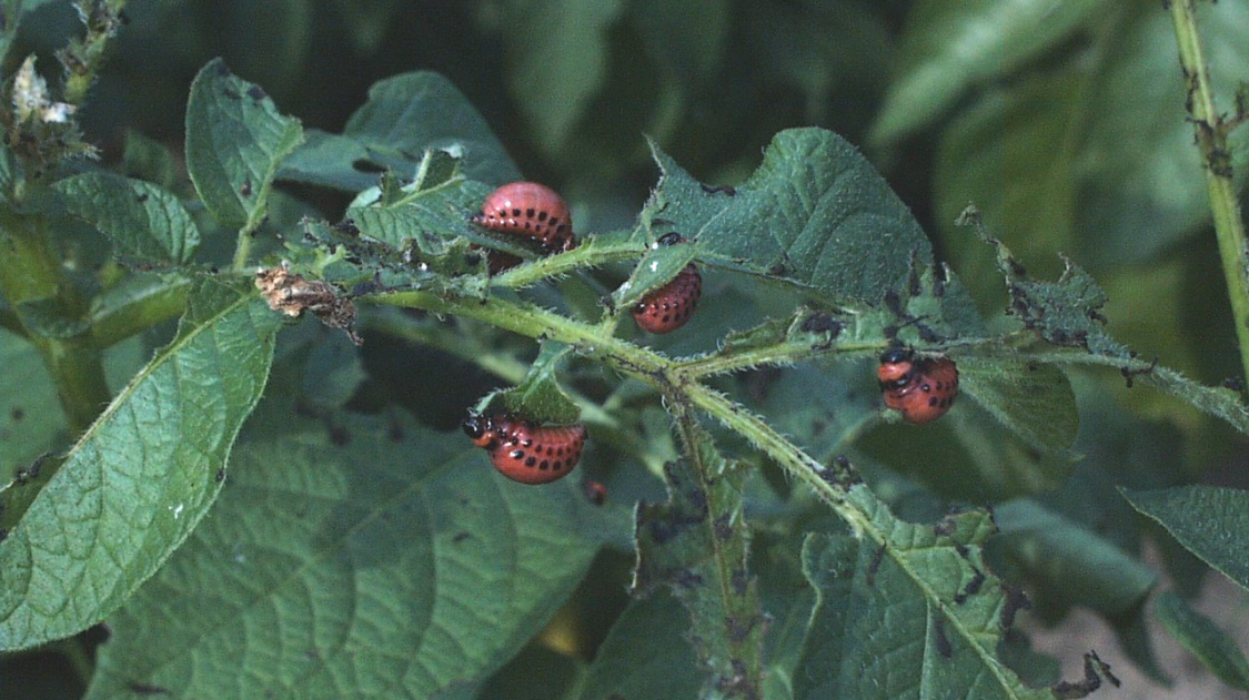 0B58A70A-F8D6-4A89-B468-C6F1963AC42E