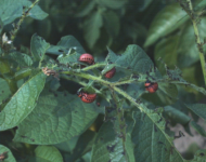 0B58A70A-F8D6-4A89-B468-C6F1963AC42E