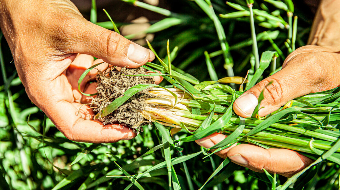 538A06C5-373E-411F-A043-5ACB13D94CC7